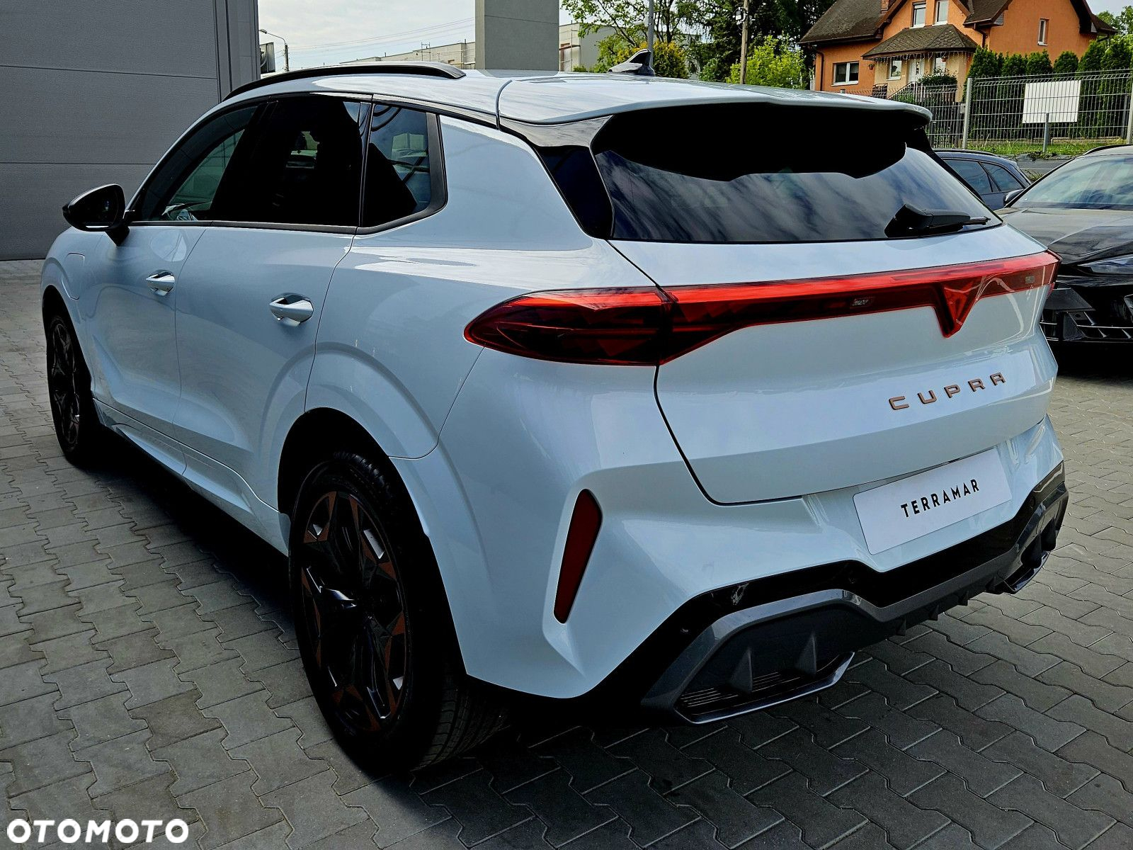 Cupra Terramar - 5