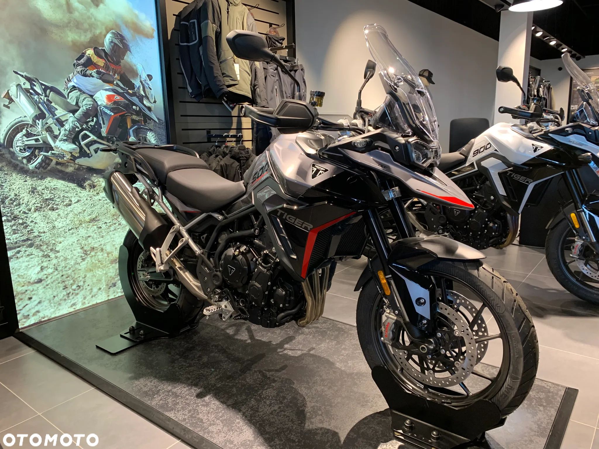 Triumph Tiger - 1