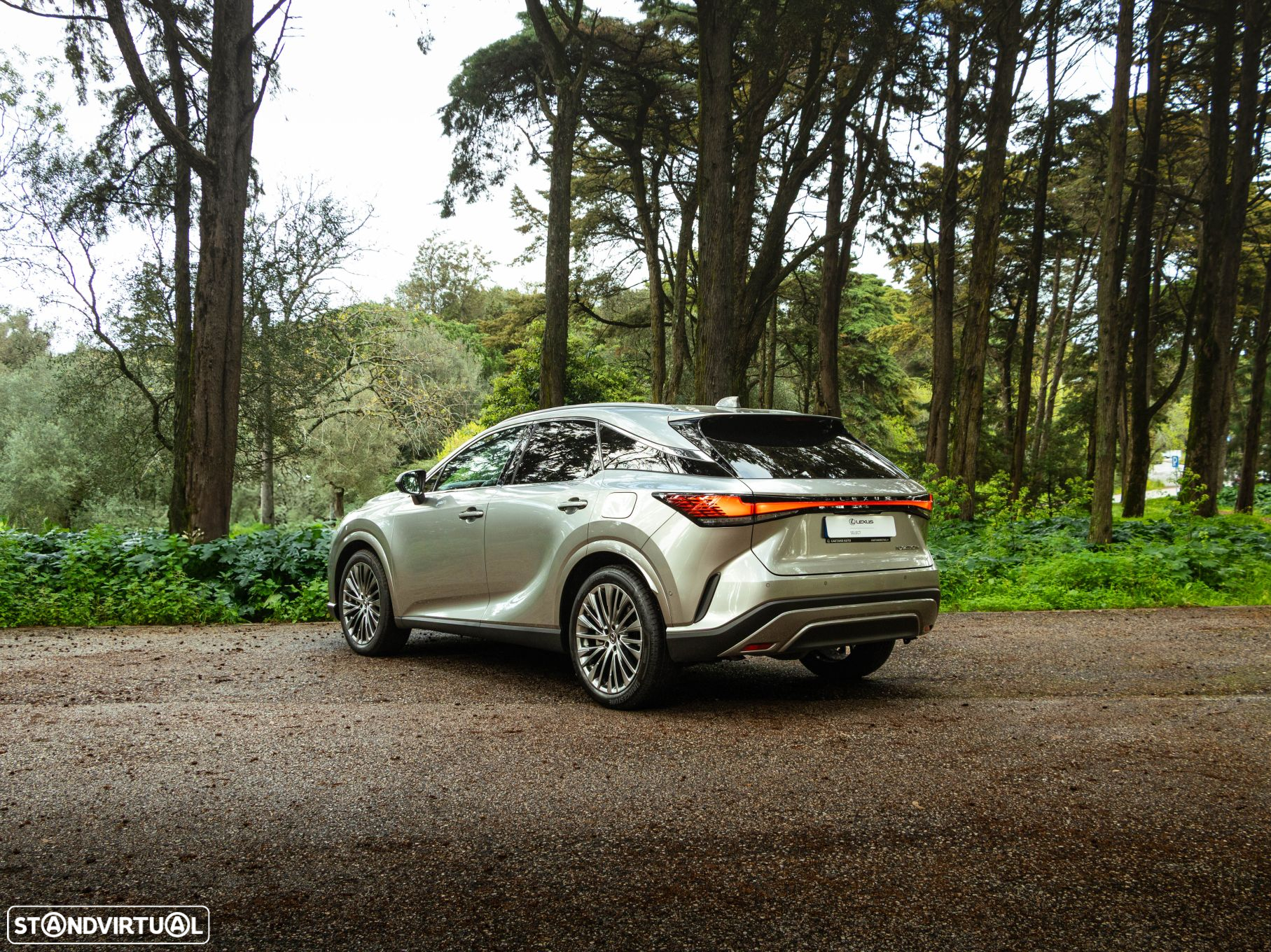 Lexus rx-450h - 2