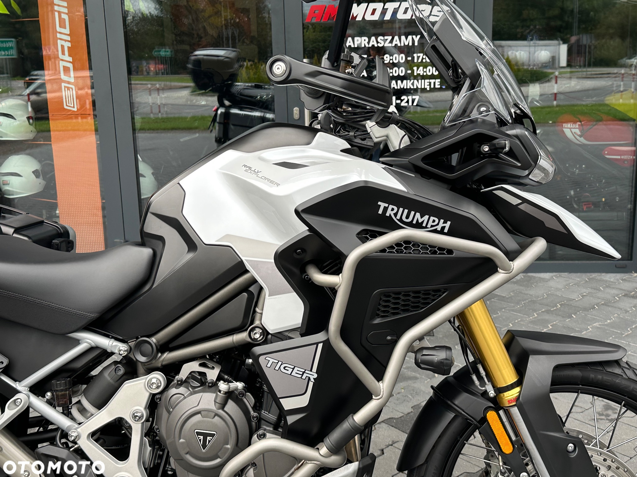 Triumph Tiger - 8