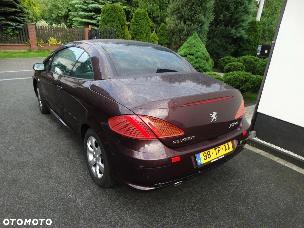 Peugeot 307 - 7