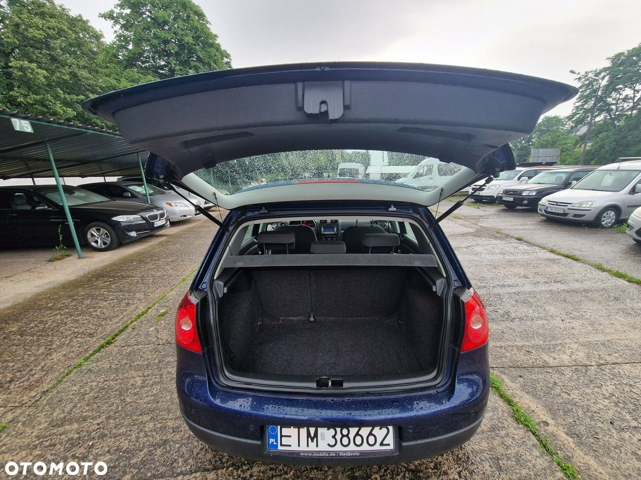 Volkswagen Golf - 25
