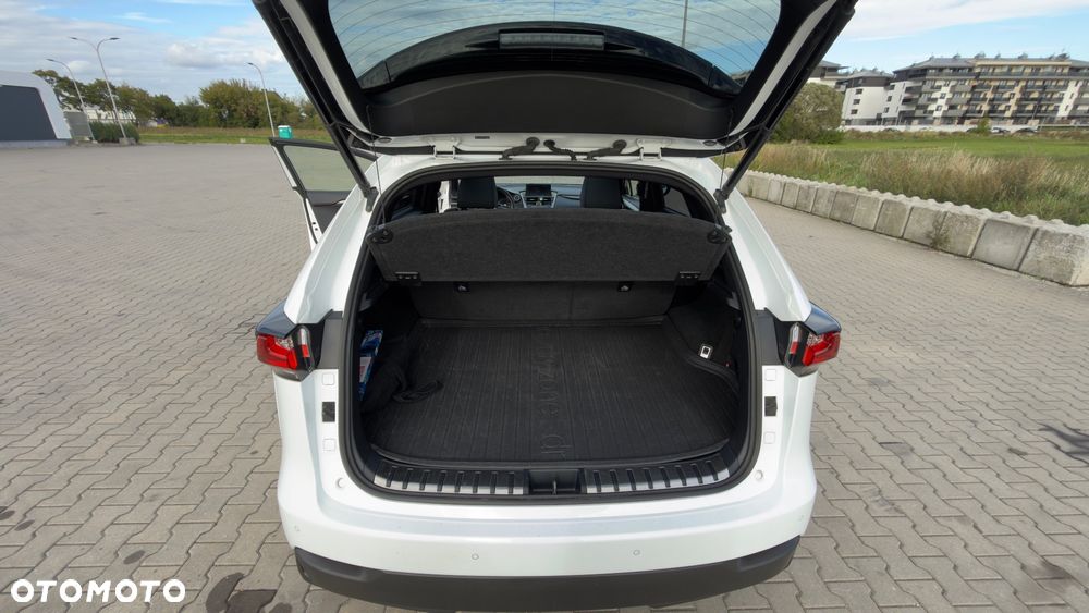 Lexus NX 300h F Sport Edition AWD - 17