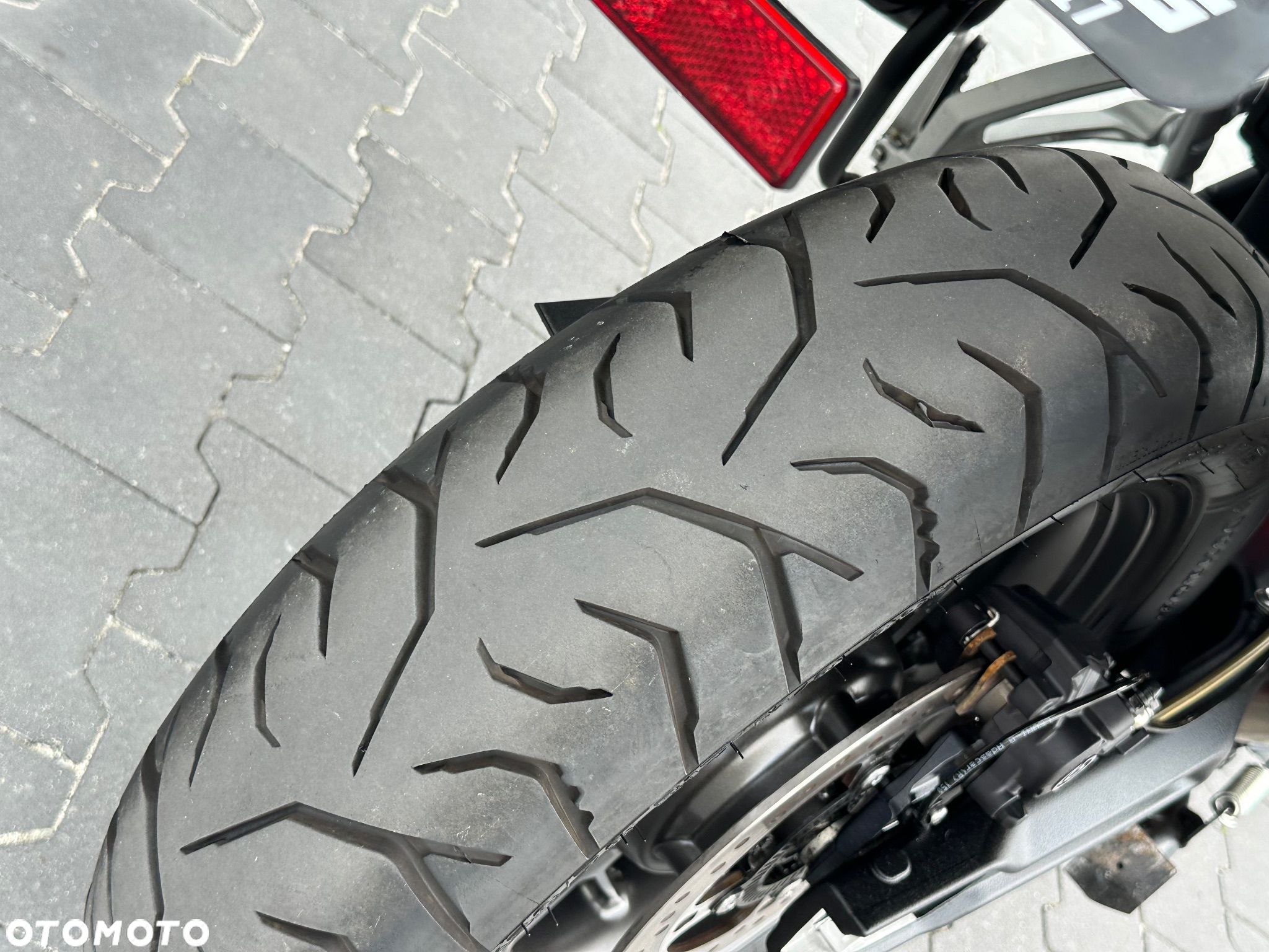 Triumph Tiger - 10