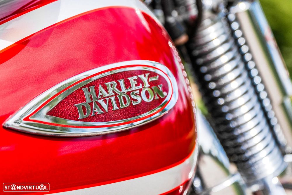 Harley-Davidson FLSTS Heritage Springer (Old Boy - Motor Evolution) - 16