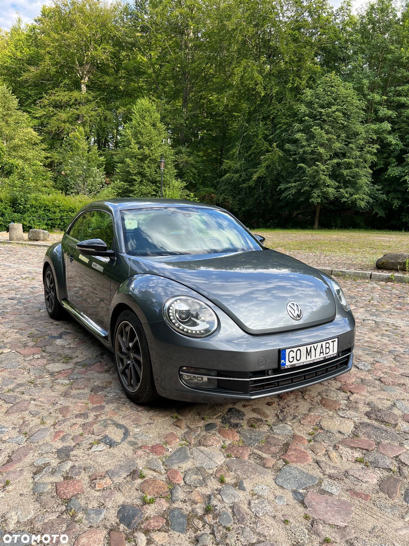 Volkswagen Beetle 2.0 TSI Sport DSG - 1