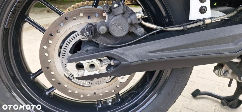 Triumph Tiger - 28