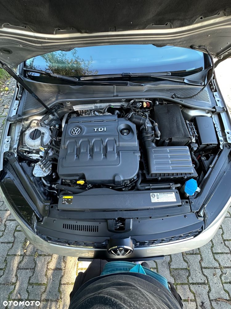 Volkswagen Golf Alltrack 2.0 TDI 4Motion (BMT) DSG - 36