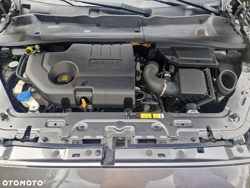 Jaguar E-Pace D150 AWD S - 31