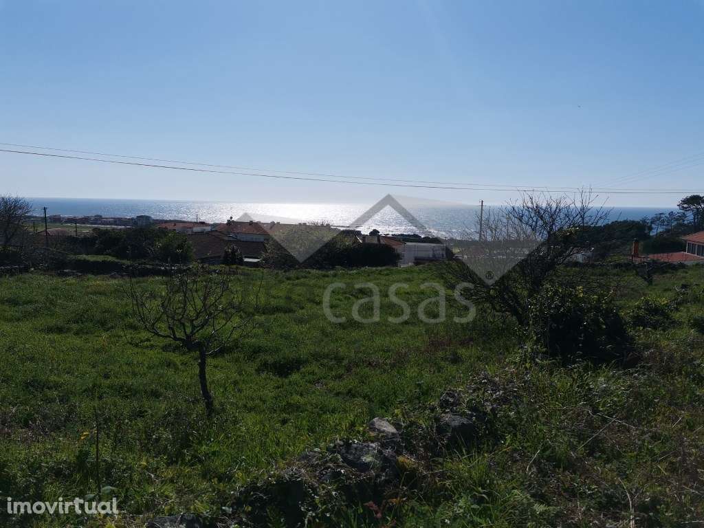 Terreno - Grande imagem: 4/8