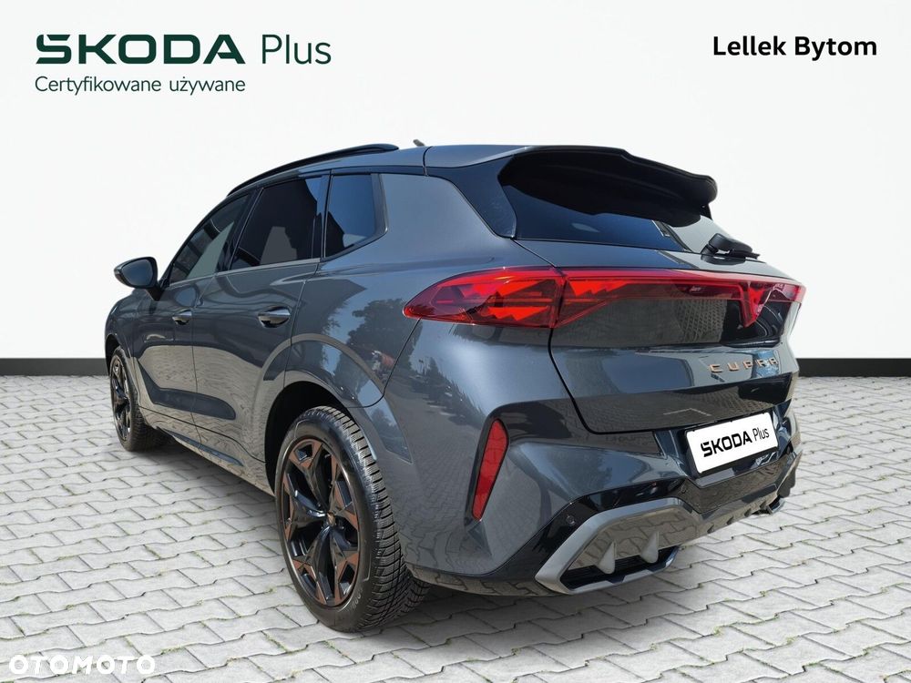 Cupra Terramar - 9