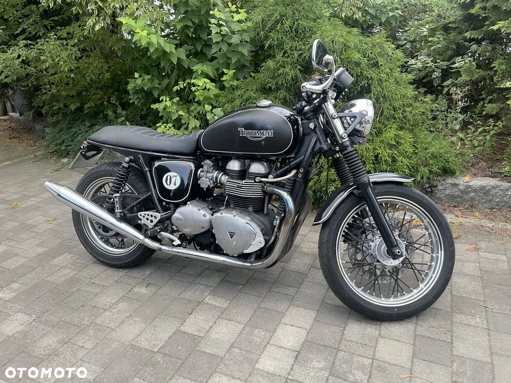 Triumph Thruxton - 1