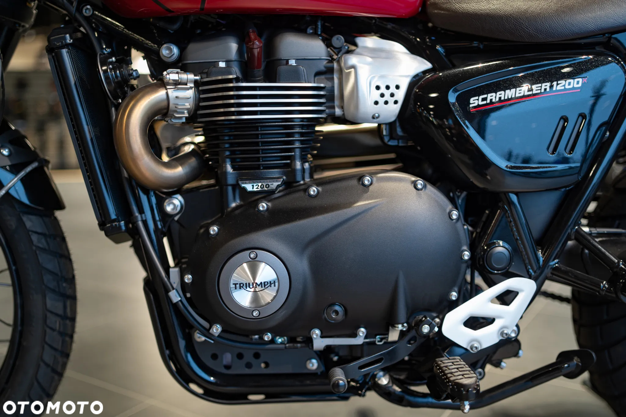 Triumph Scrambler - 21