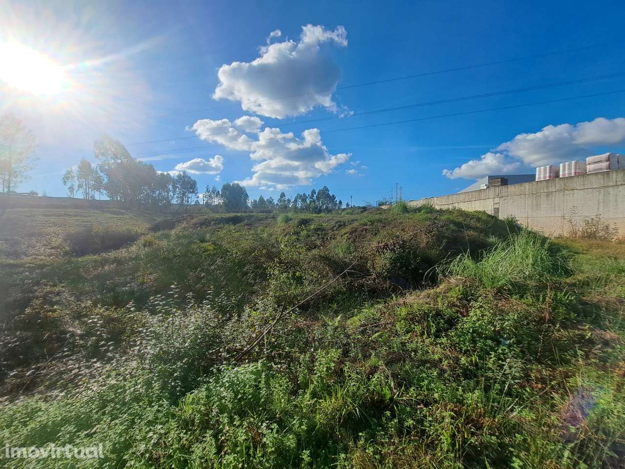 Terreno Industrial 9000m2 - Grande imagem: 3/7