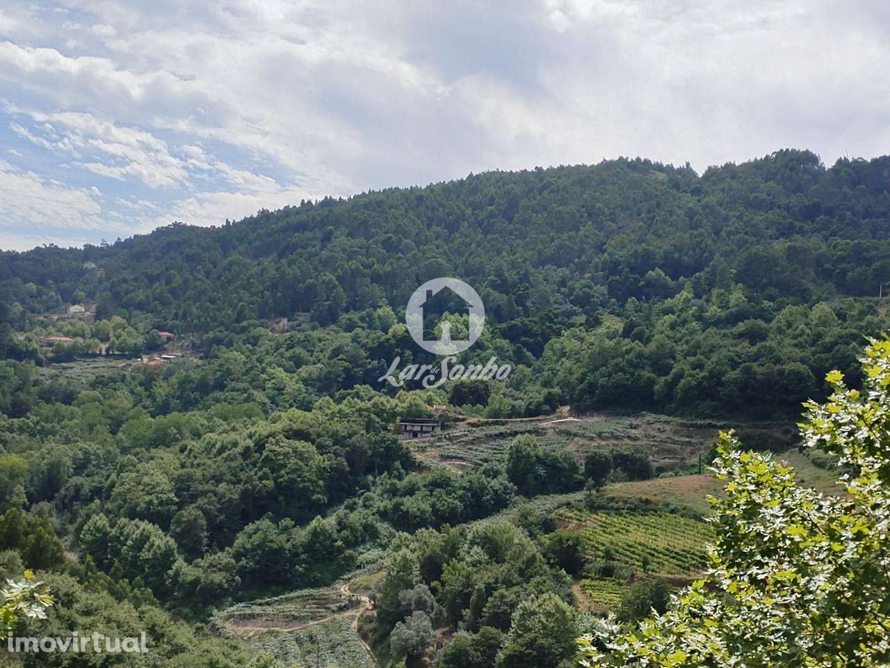 Terreno Caçarilhe Celorico de Basto - Grande imagem: 3/10