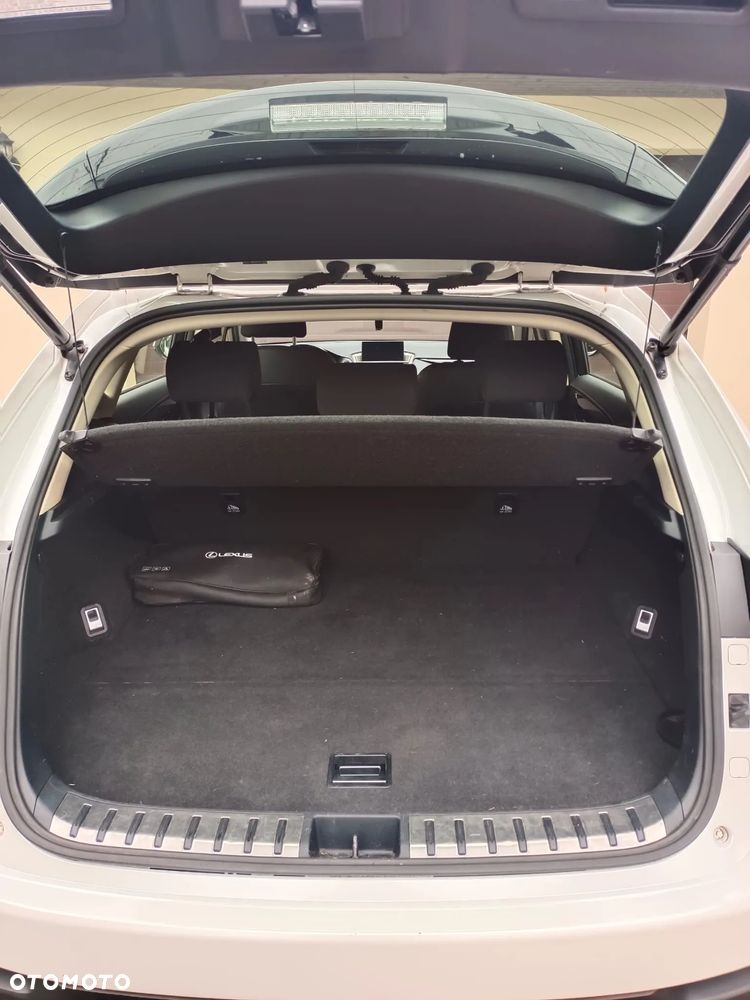 Lexus NX 300h - 9