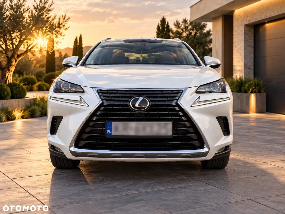 Lexus NX 300 Business Edition AWD - 5