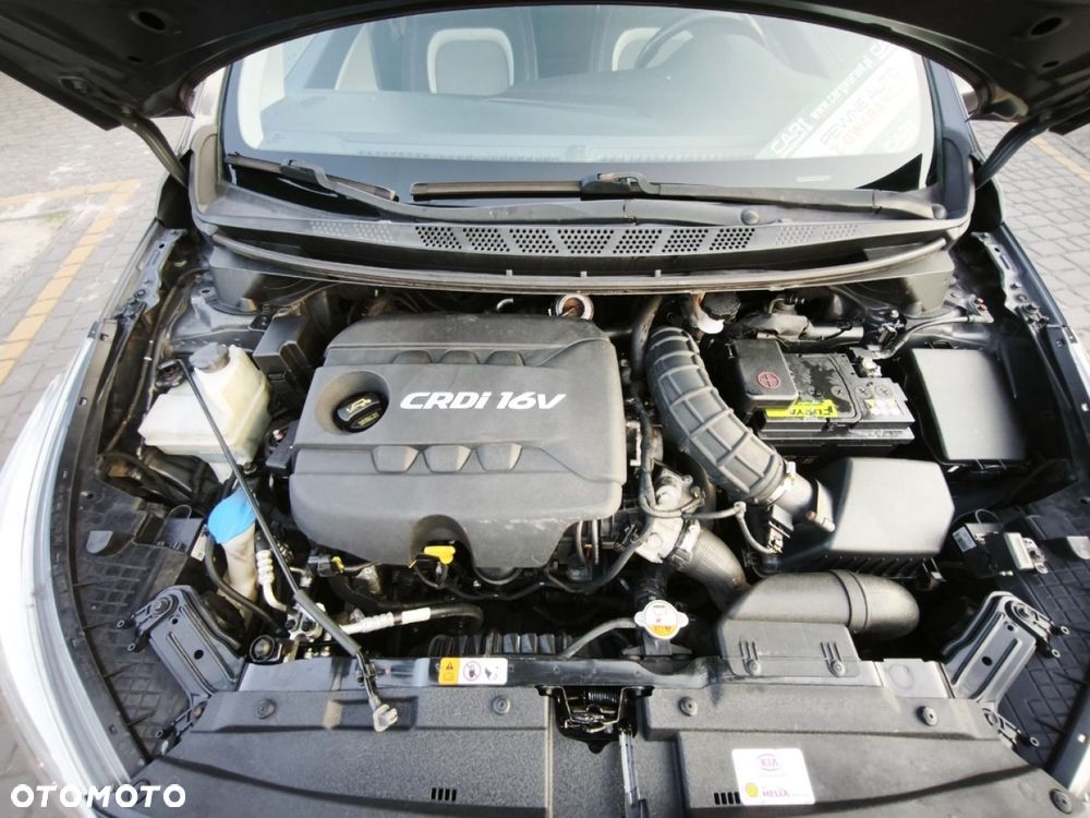 Kia Ceed - 15