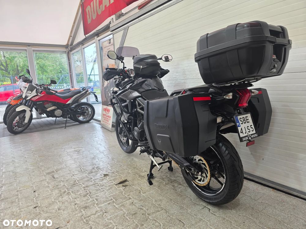 Triumph Tiger - 6