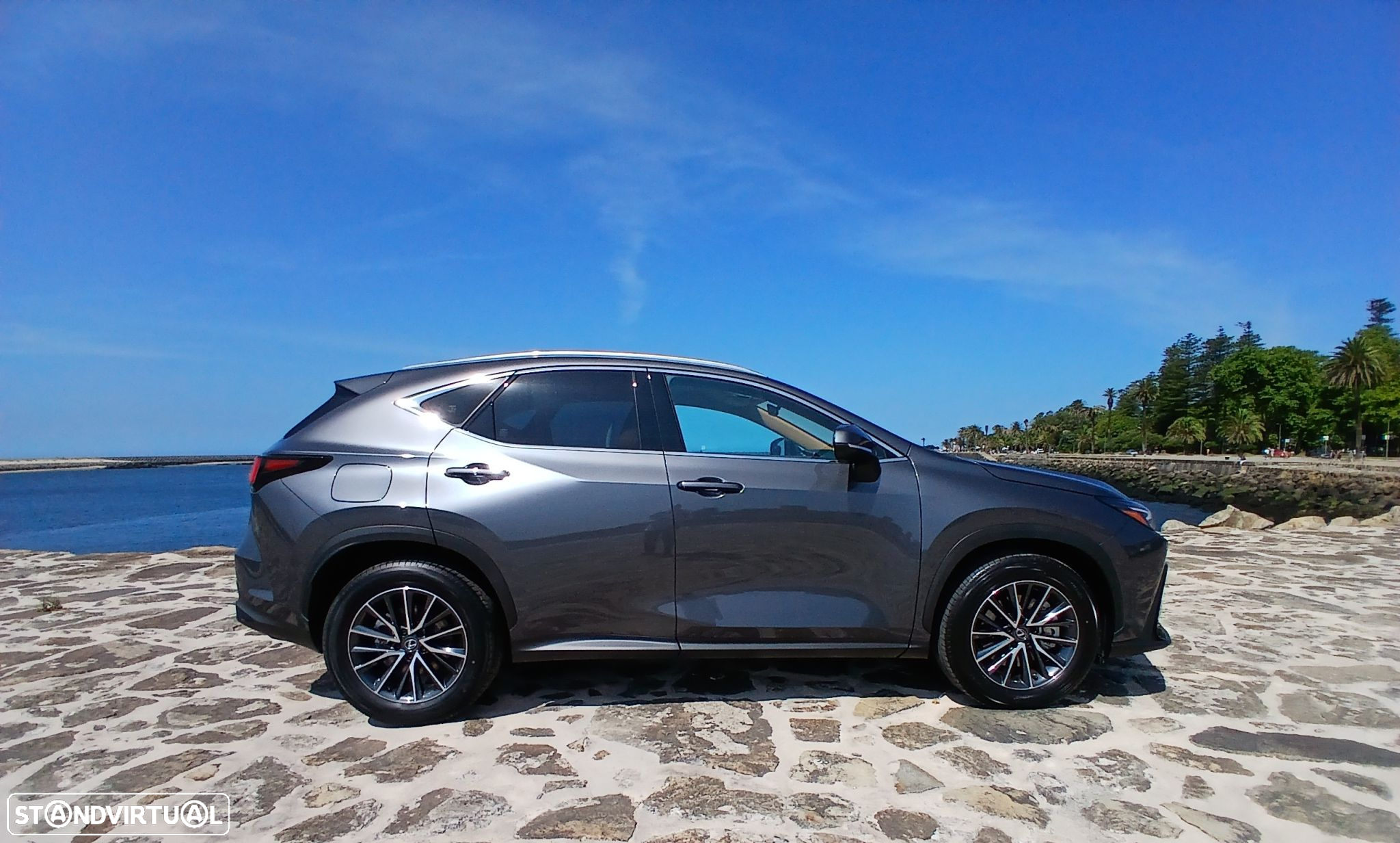 Lexus NX 450h+ - 14