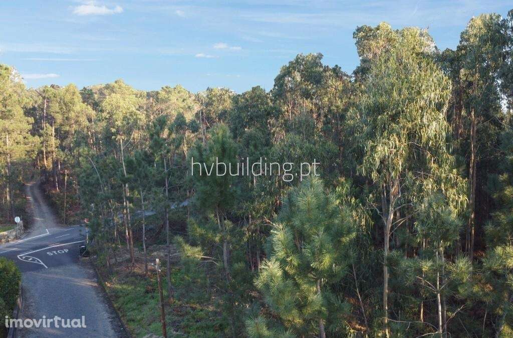 Oportunidade terreno para construção em Remelhe, Barcelos - Grande imagem: 3/16