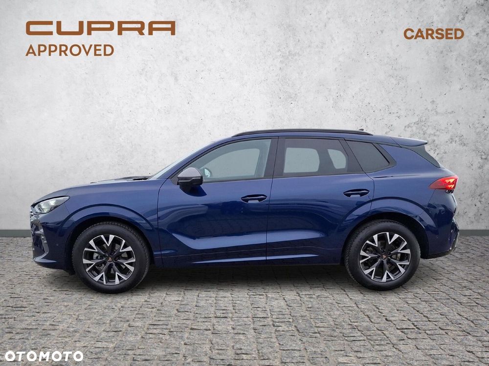 Cupra Terramar - 2