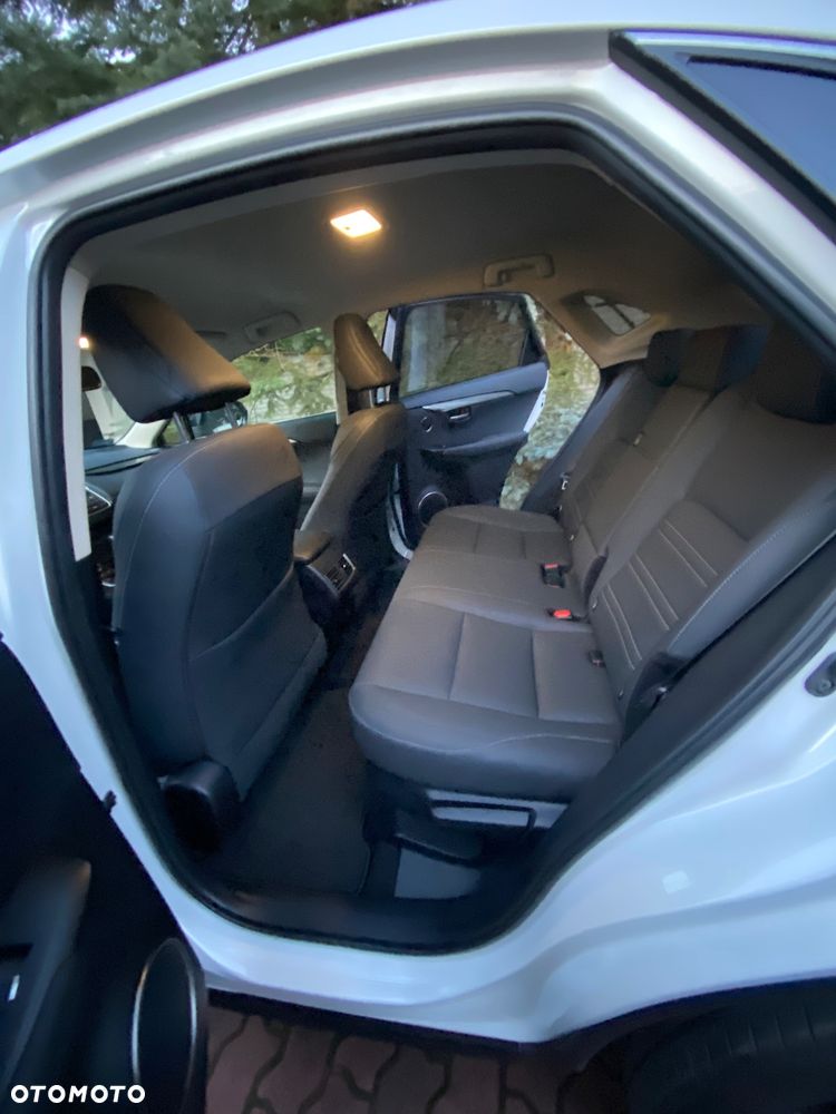 Lexus NX - 10
