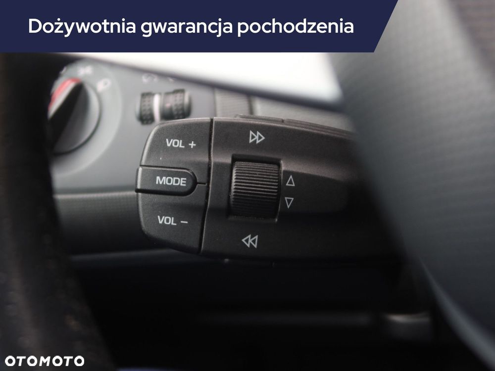 Seat Ibiza - 21