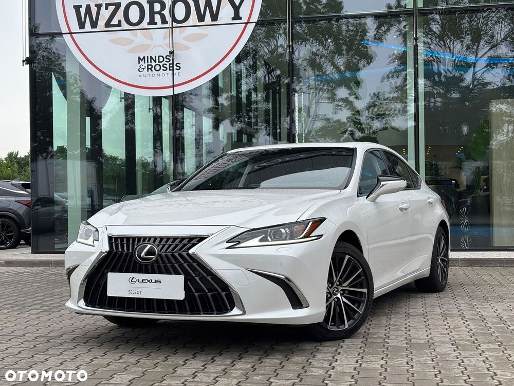 Lexus ES 300h Business Edition - 10