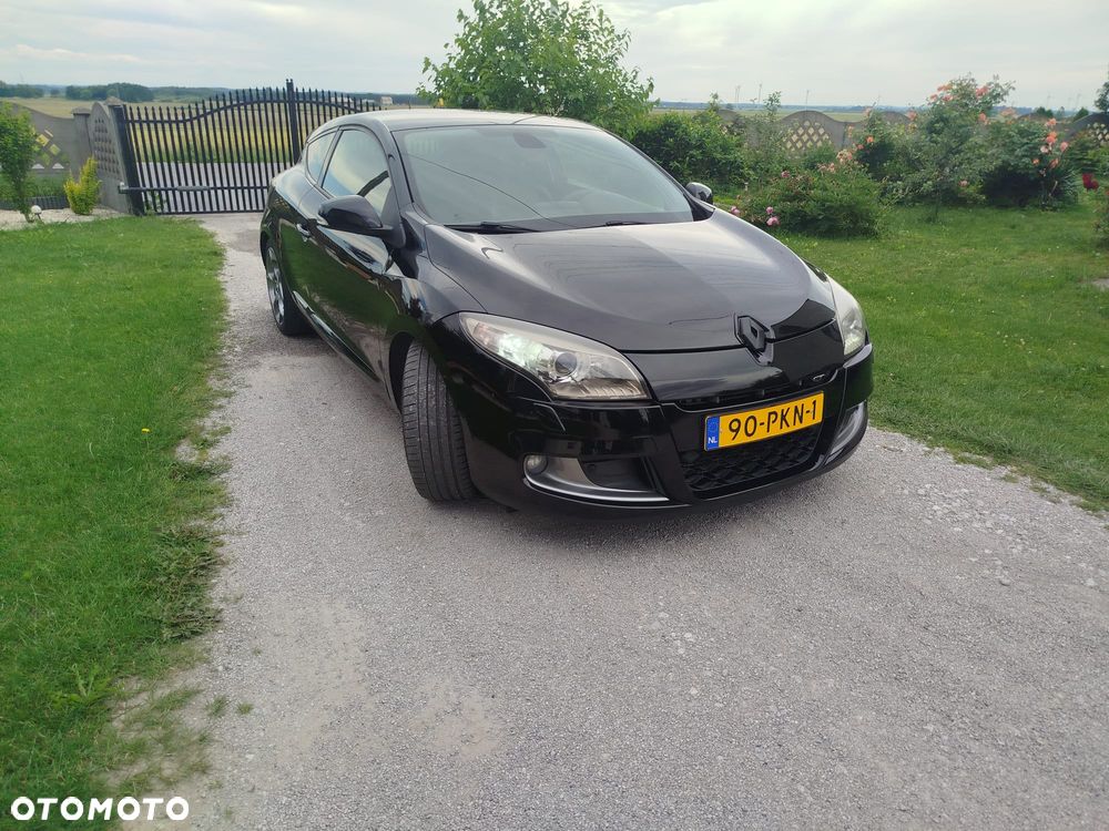 Renault Megane 2.0 16V TCE GT - 14