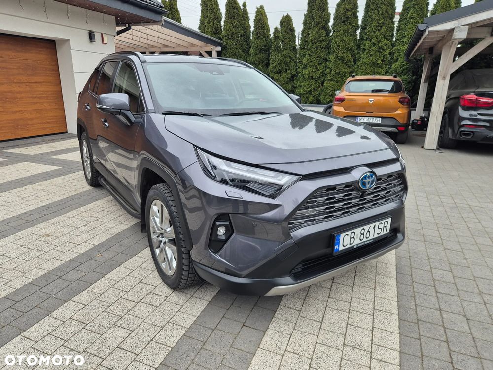 Toyota RAV4 2.5 Hybrid Dynamic Force Executive 4x2 e-CVT - 2