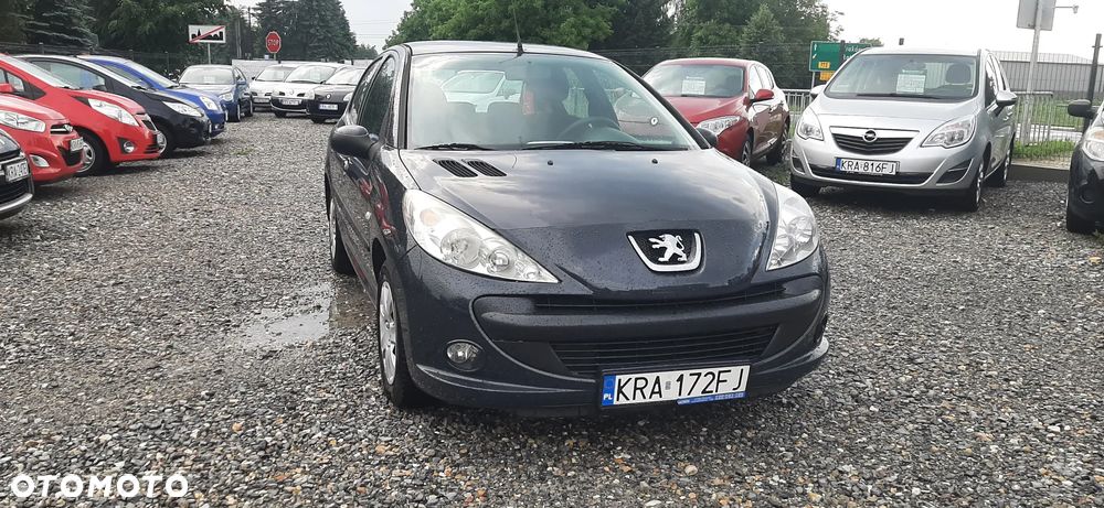Peugeot 206 plus - 18