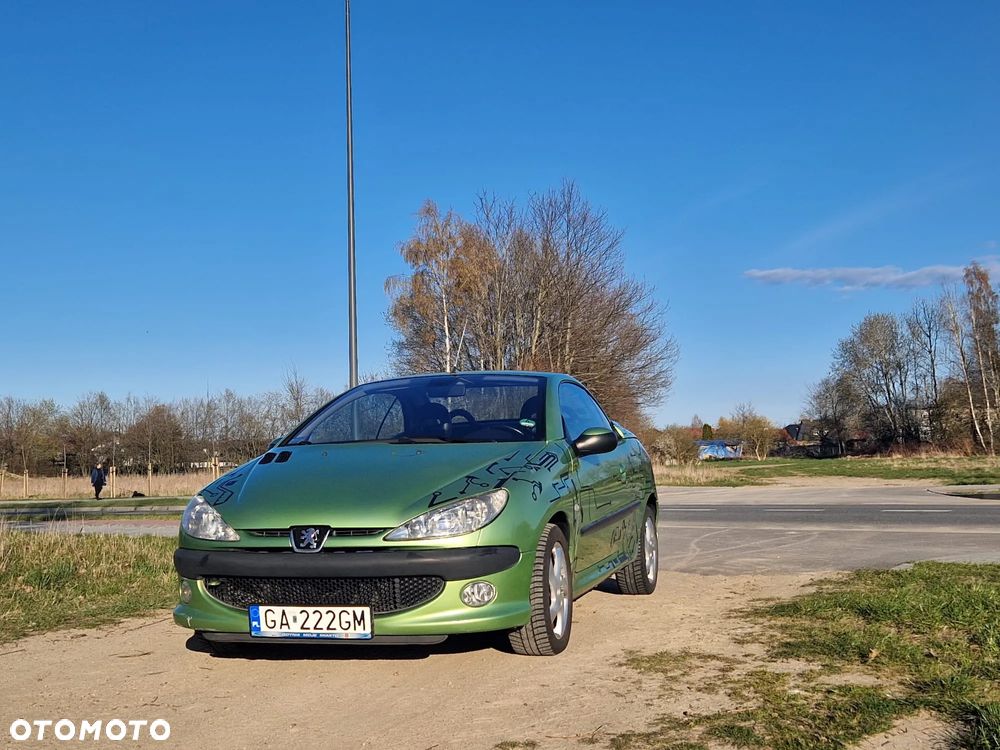 Peugeot 206 - 17
