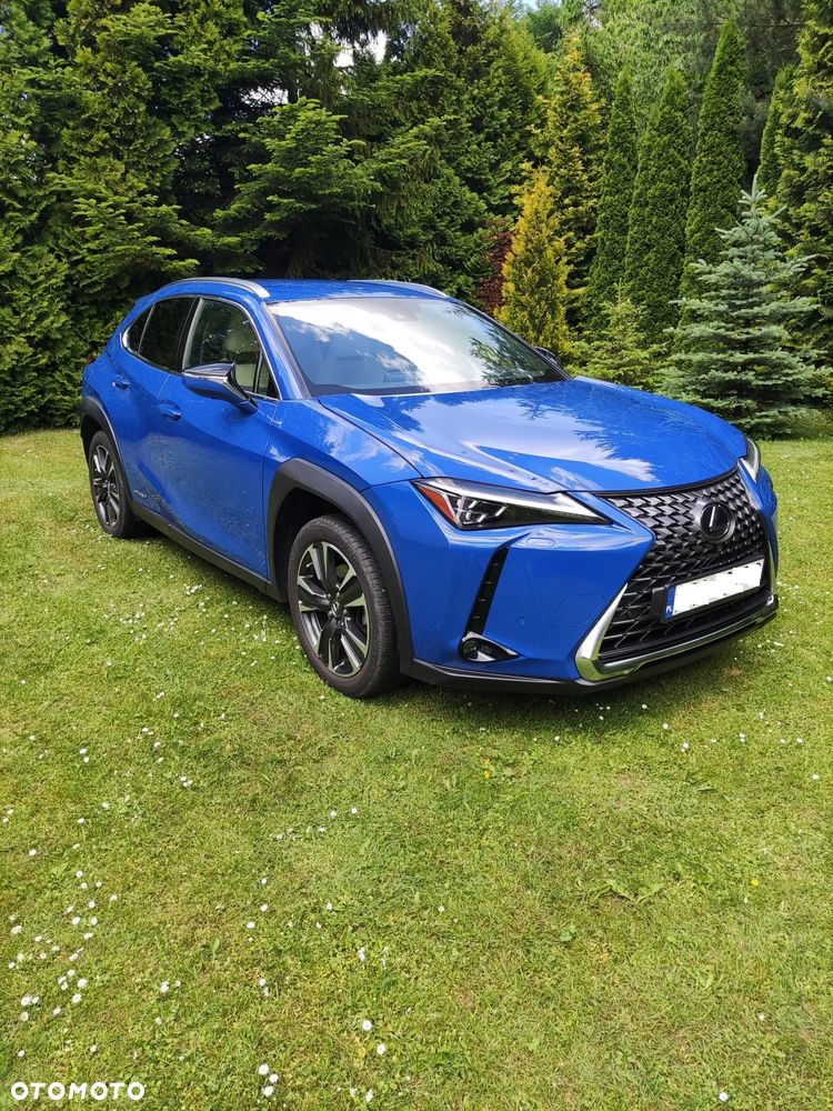 Lexus UX 250h GPF Omotenashi AWD - 1