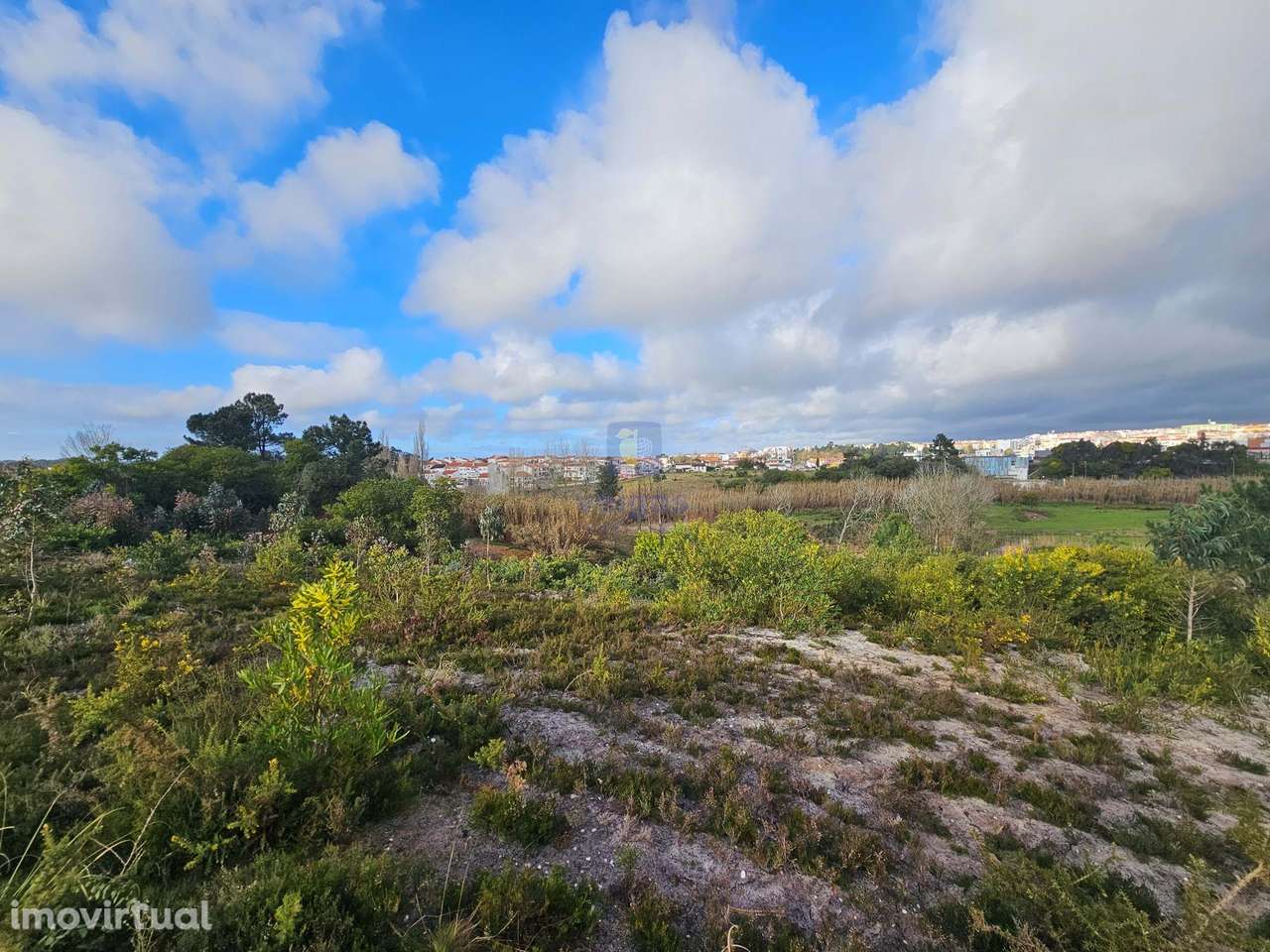 Terreno Exclusivo na Quinta do Pinheiro – Caldas da Rainha - Grande imagem: 2/19