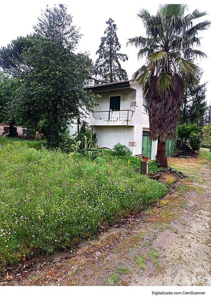 Terreno em São Miguel de Vila Boa - Grande imagem: 3/4