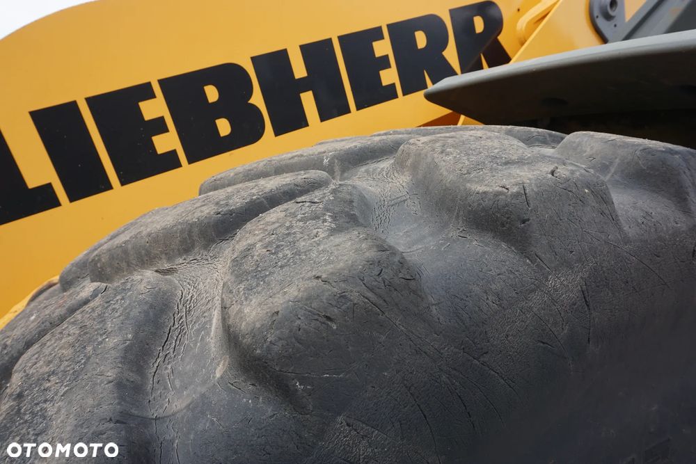 Liebherr L566 XPower - 11