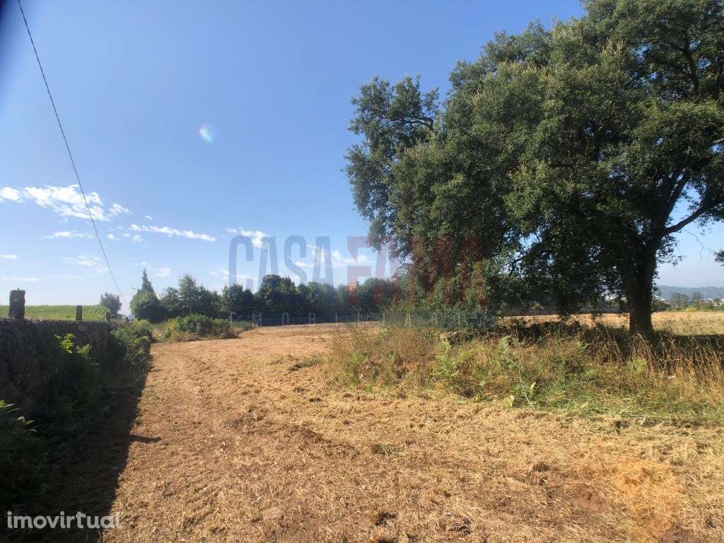 Terreno Urbano em Alvelos - Barcelos - Grande imagem: 4/12