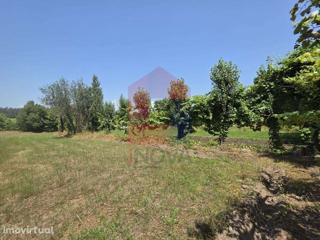 Terreno agrícola e floresta de produção, Gême - Grande imagem: 4/37