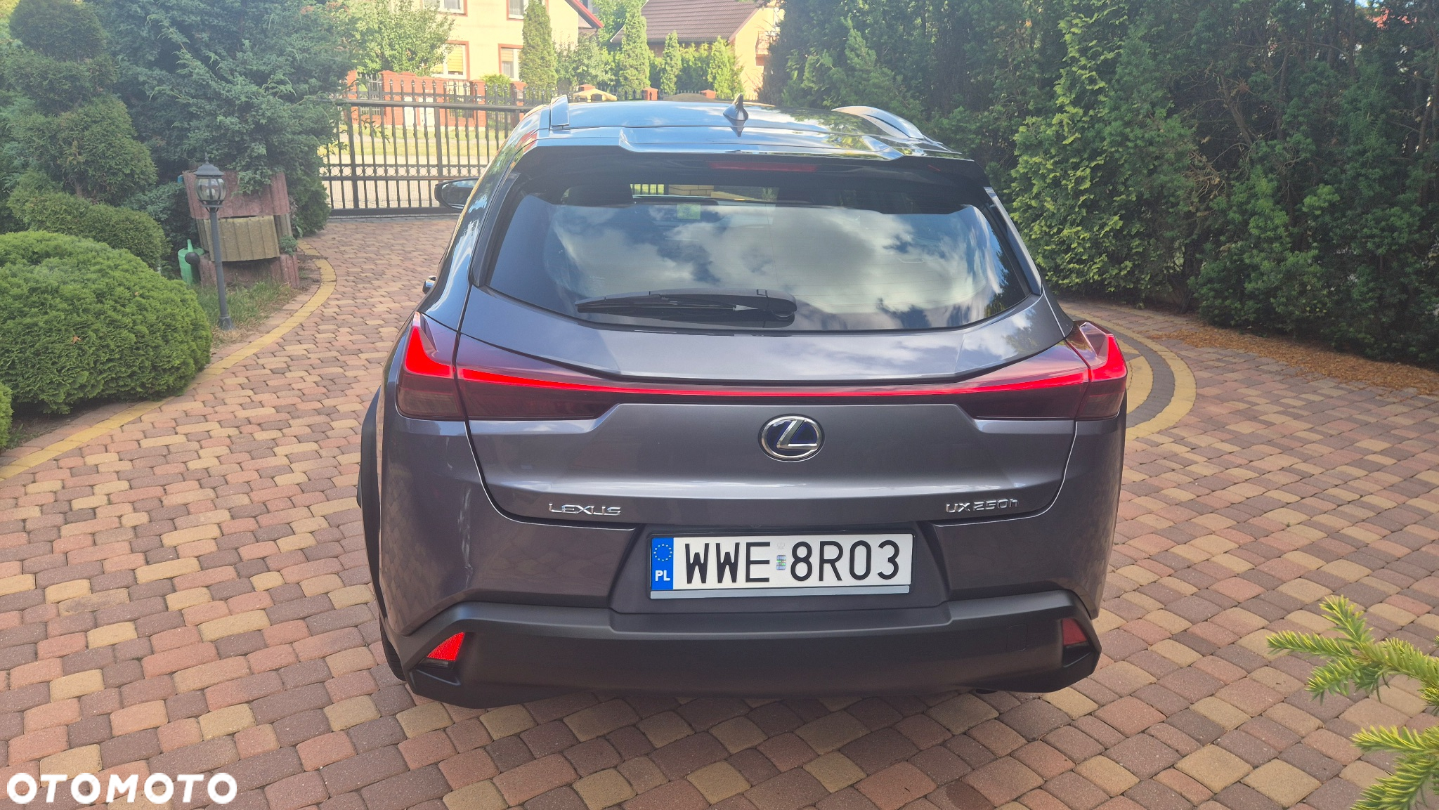 Lexus UX 250h Business Edition - 6