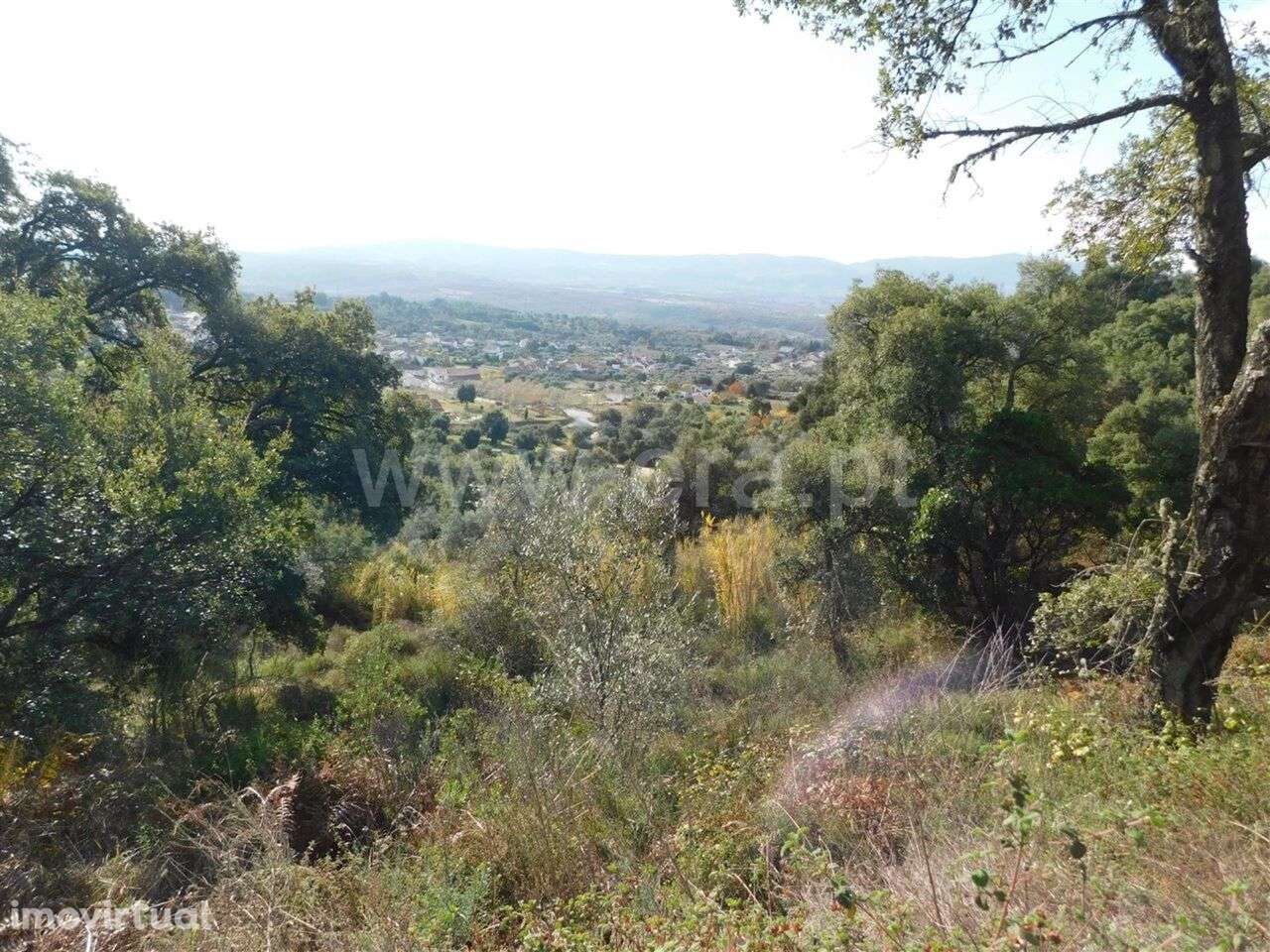 Terreno Rústico / Fundão, Pêro Viseu - Grande imagem: 3/8