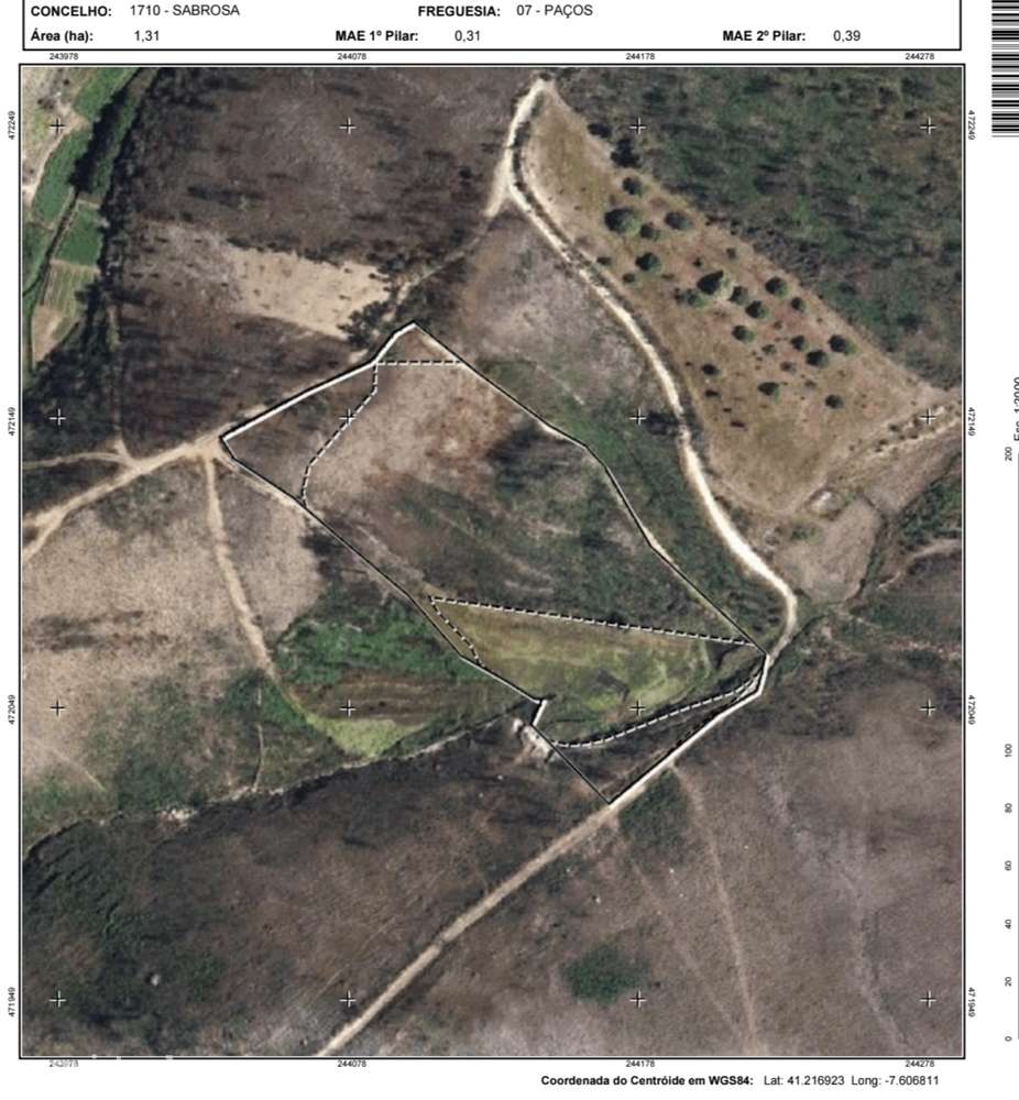 Terreno rústico de 13000m² em Vilela, Sabrosa - Grande imagem: 2/2