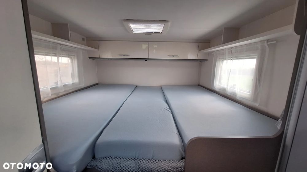 Etrusco T7.3 SF - 34