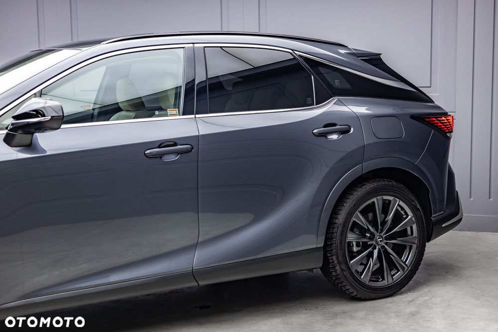 Lexus RX - 31