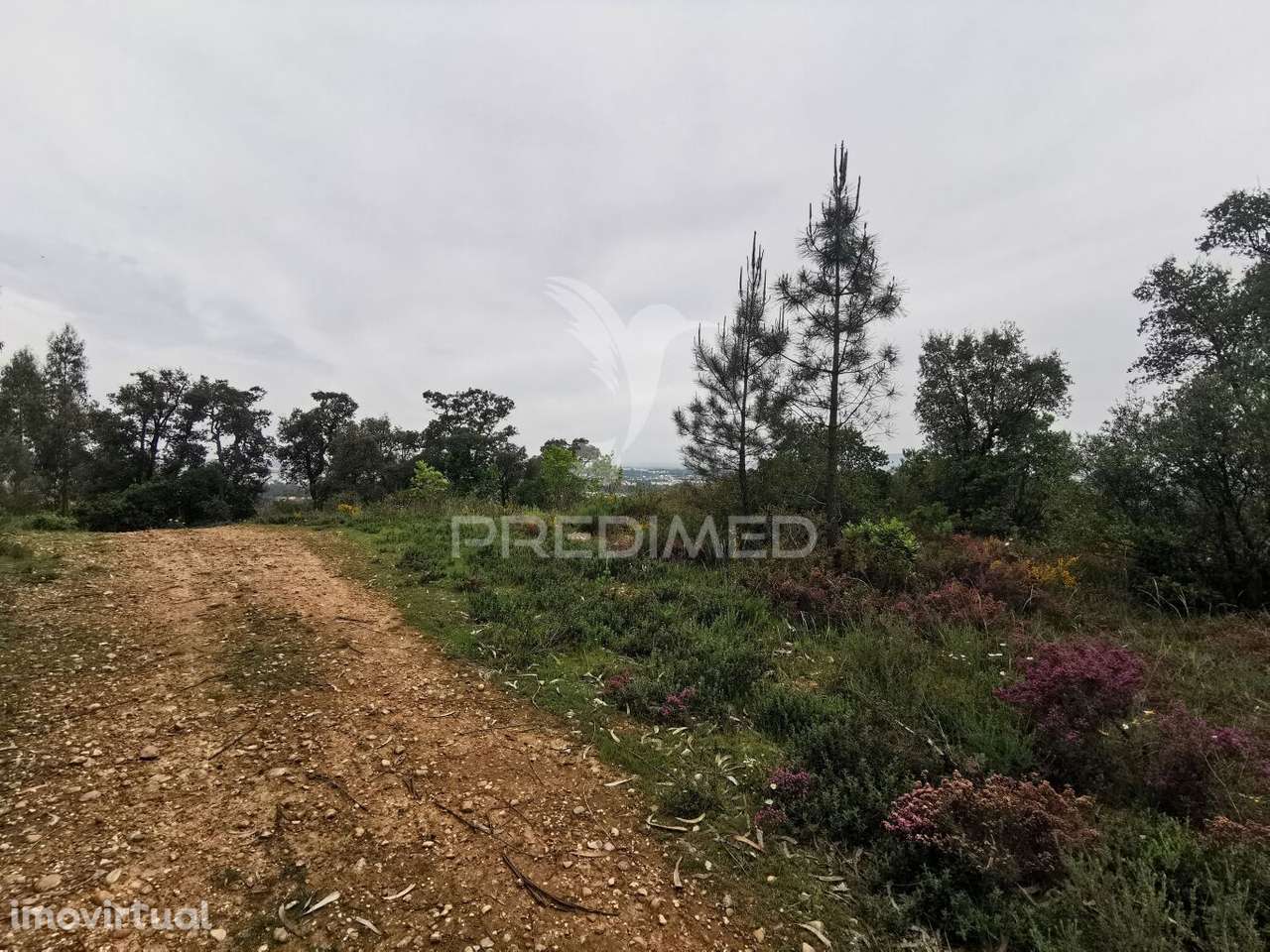 Terreno Rustico - Grande imagem: 4/30