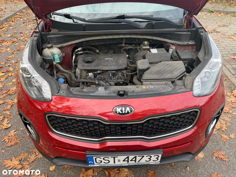 Kia Sportage - 18