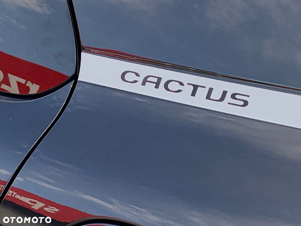 Citroën C4 Cactus VTi 82 Shine - 25