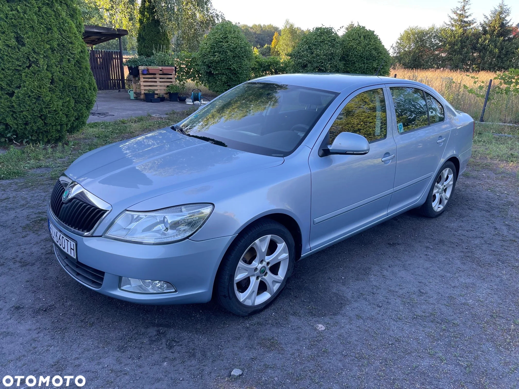 Skoda Octavia 1.8 T FSI Ambiente - 2