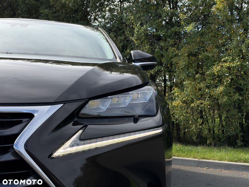Lexus NX - 25
