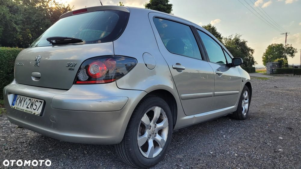Peugeot 307 1.6 HDi - 13